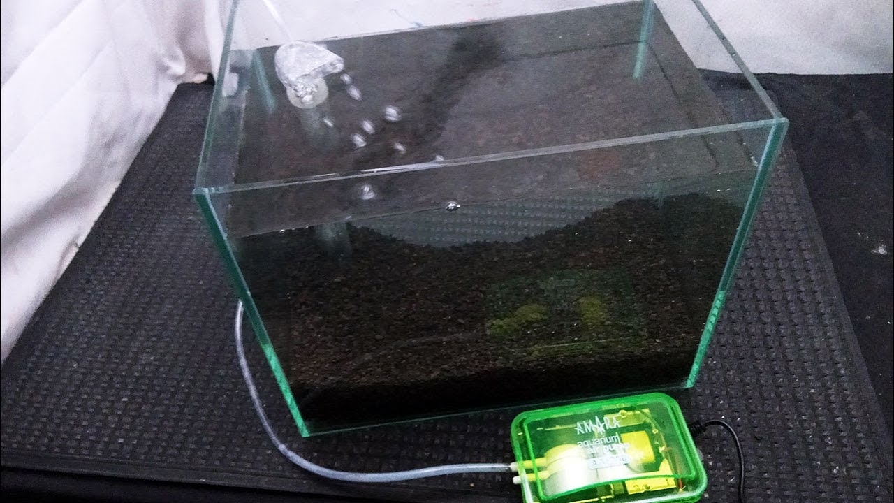 aquarium undergravel filter