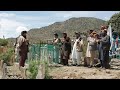 Death before dishonour: Tribal feuds test Taliban writ | AFP