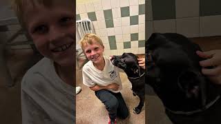 Summer Is Coming - Register For Spca Animal Camp Now
