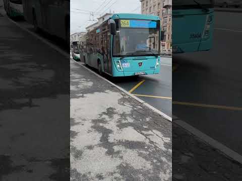 Автобус 264! И 12! #спб #транспорт #автобус @Nevsky_Transport советую подписаться!