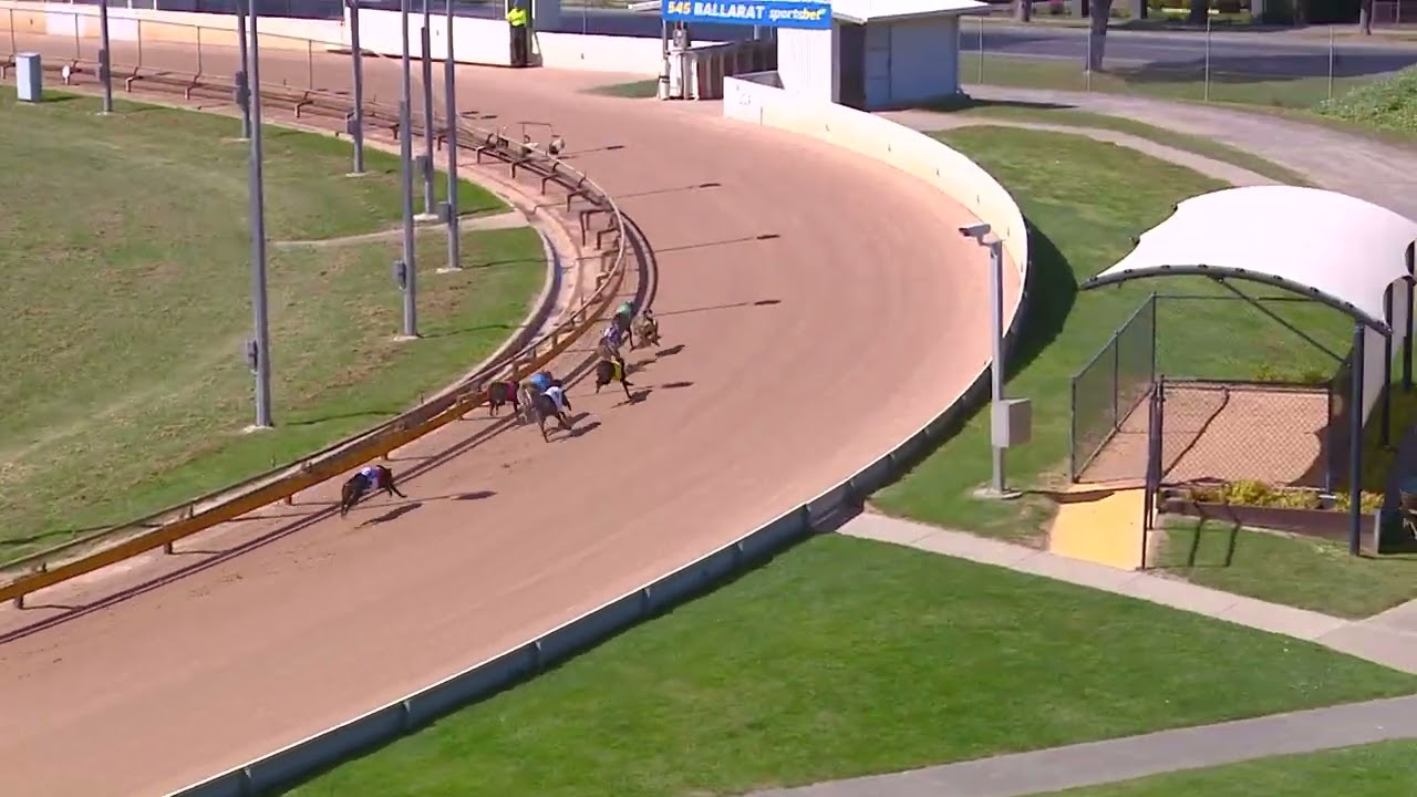 Watchdog - Meeting - Races