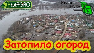 Восстановление Участка После Потопа: Что Внести В Почву После Затопления Огорода.