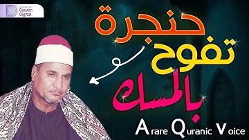 ابداع ليس له حدود - خشوع واحساس الشيخ محمد عبدالوهاب الطنطاوي - سورة هود