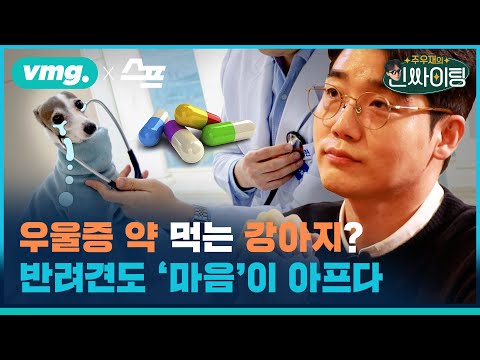 포켓몬 마스터급 힐러, 이래서 설채현 설채현 하는구나 (<strong>ft</strong>. 국내 최초 수레이너) / 인싸이팅 <strong>ep</strong>.11 / 비디오머그