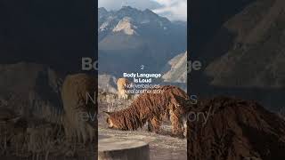 🌍 4 Things Street Photography Taught Me About People 📸  Nicolas Castermans @nicolascastermans shar