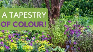 23 stunning ground cover plants  create a tapestry of colour and texture (in difficult places!)