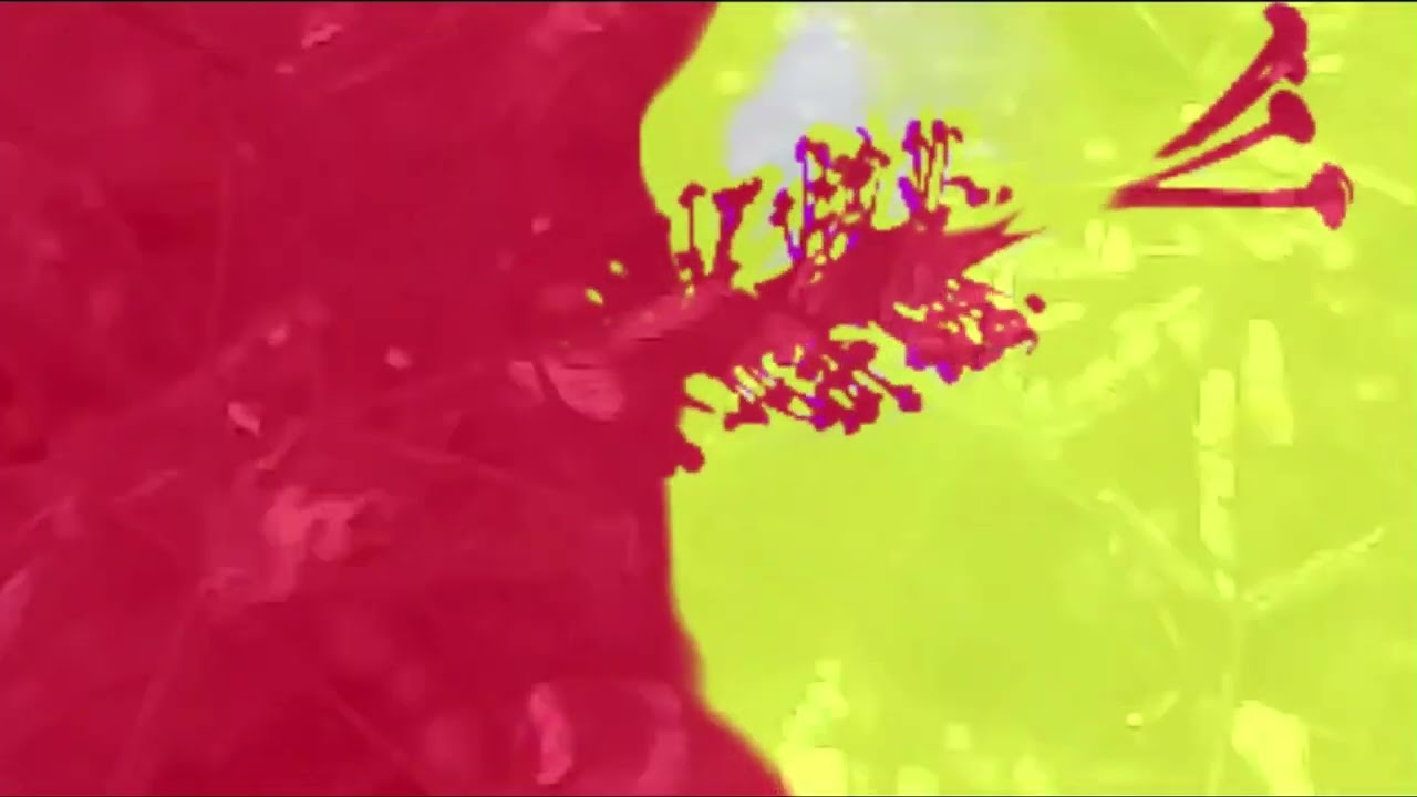 Leo's Piano - Natty Purbrick