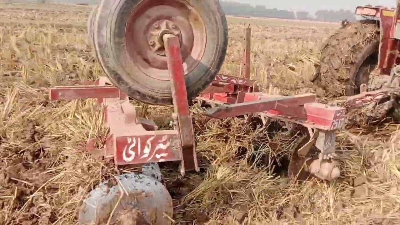 MF 385 with disc harrow amazing work for agriculture system 