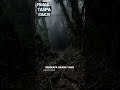 Misteri suara Gamelan Alas Purwo #horror #fyp #kisahnyata