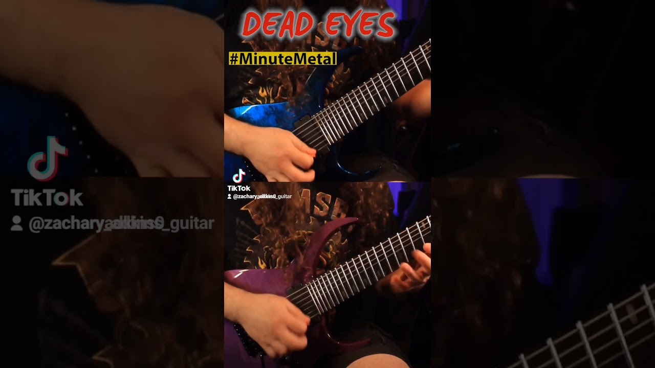 Dual Guitar Harmonies | 