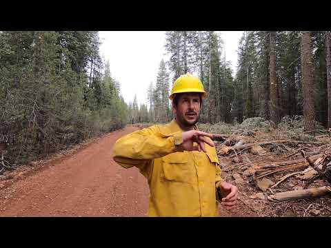 וִידֵאוֹ: Helping Fire Damaged Trees - How To Save Trees Damaged By Fire