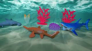 Max And Grandads Sea Creature Adventures - Underwater Footage