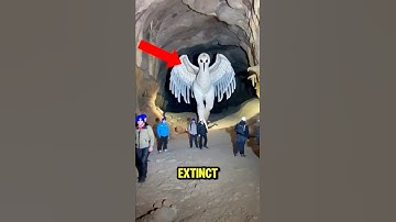 TOP 5 SCARIEST EXTINCT ANIMALS EVER CAUGHT ON CAMERA 🤔😨