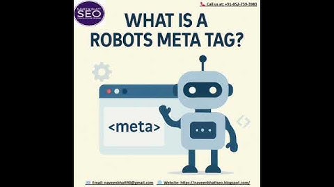 What is a robots meta tag? | Naveen Bhatt SEO