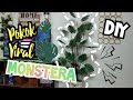 DIY POKOK VIRAL | DIY Gubah Pokok Monstera | Bajet Bawah RM20 Saja