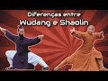Principais diferenças entre Kung-Fu Wudang e Kung-Fu Shaolin
