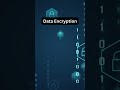 Data Encryption Explained: Protect Your Information Securely 🔐