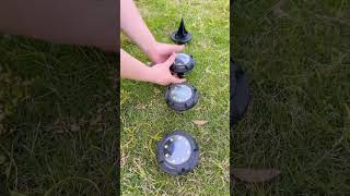 Transform Your Garden with These Solar Color Lights