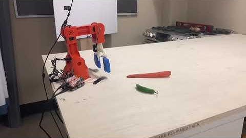 Dynamic object detection and grasping robot