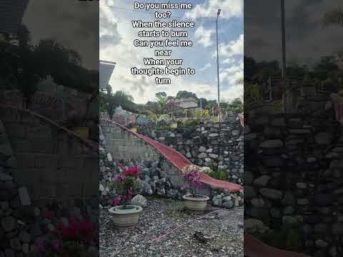 Do You Miss Me Too Pikawbauko Bauko Nature Naturelovers