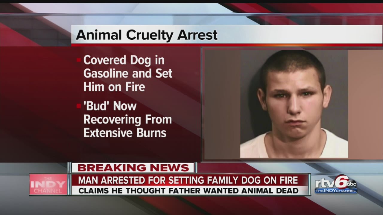 Marion man arrested, police say he set dog on fire - YouTube