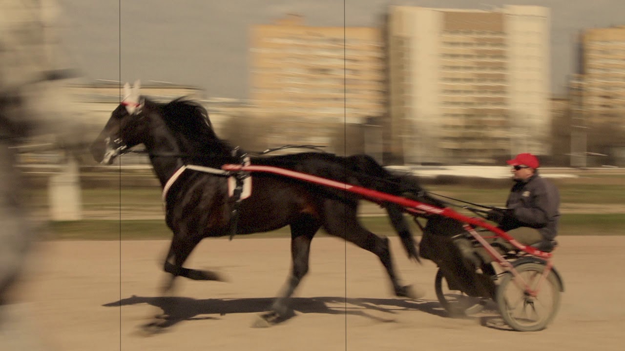 Московский Ипподром (Moscow Hippodrom)