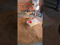 CARRYING SAND IN HALL ROOM #construction #home #constructionrevolution #sand