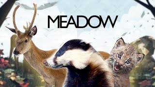 How to Badger! - Meadow