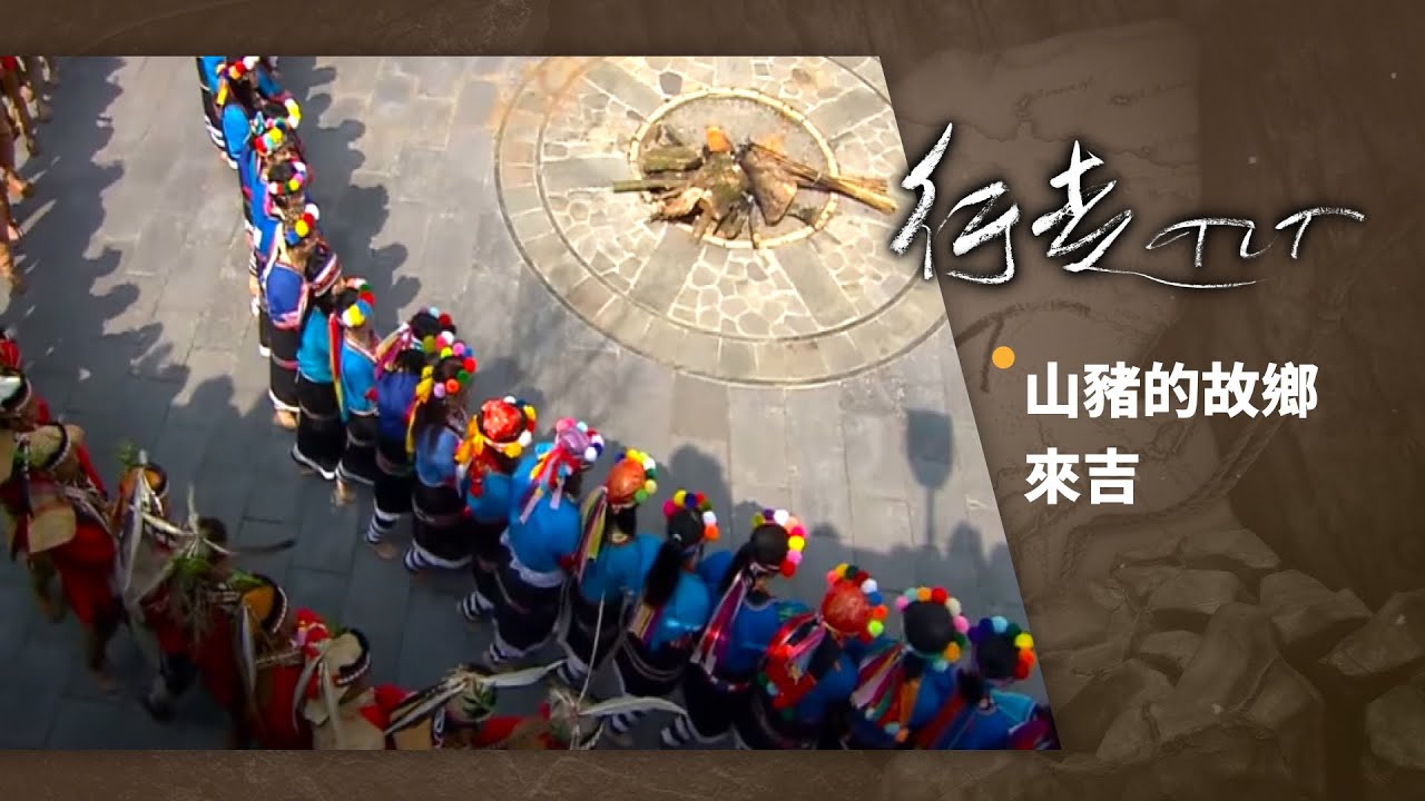 山豬的故鄉 來吉部落 | 行走TIT 第37集