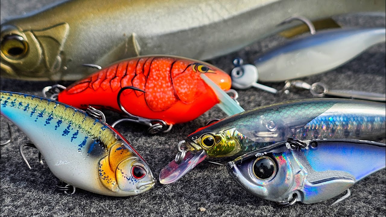 Top 5 Baits For February Bass Fishing! 