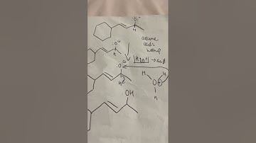 CHEM 1021 Week 8 UNE group 10 reaction video