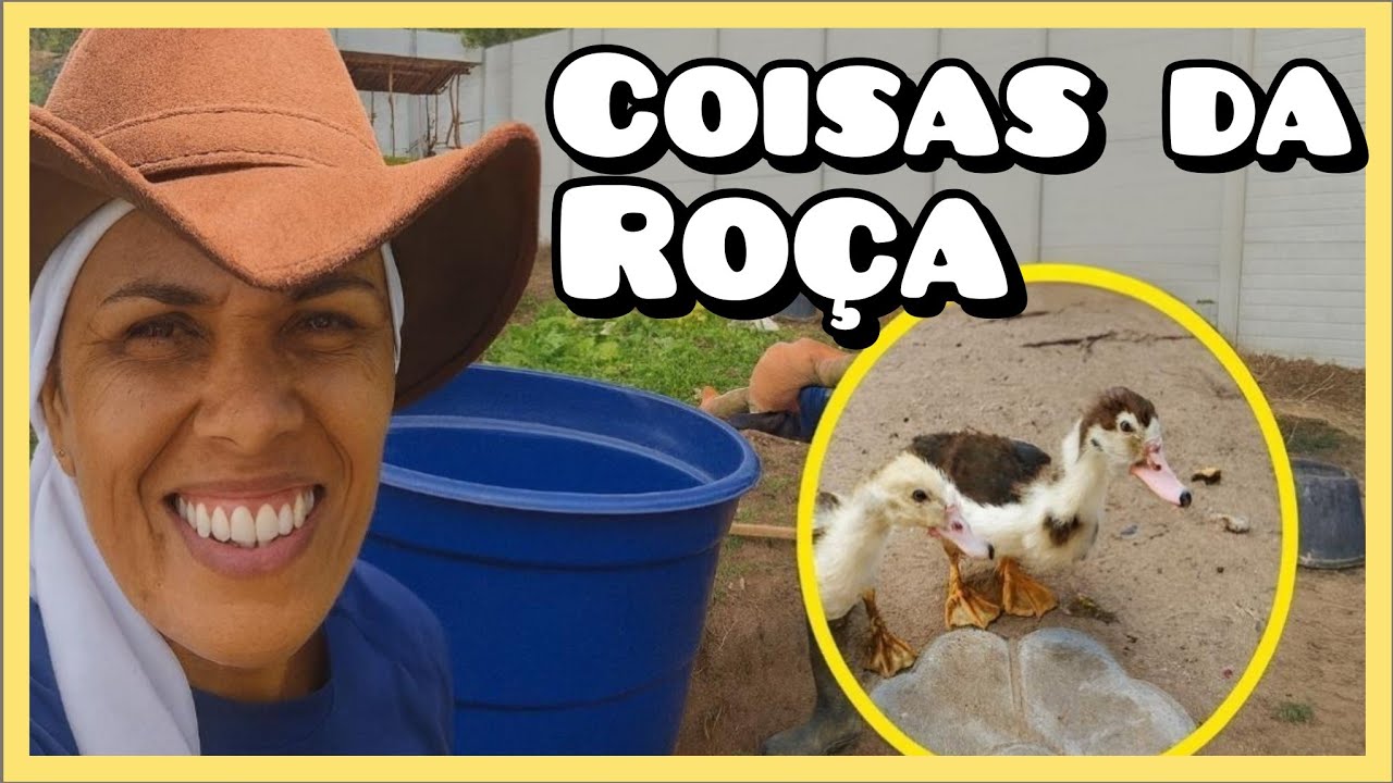 Meu Jeito de Resolver as Coisas Aqui no Sítio 