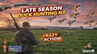 INSANE Late Season Duck Hunting New Zealand! screenshot 3
