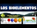 TODO SOBRE LOS BIOELEMENTOS | CLASIFICACIÓN Y FUNCIONES | CARACTERISTICAS