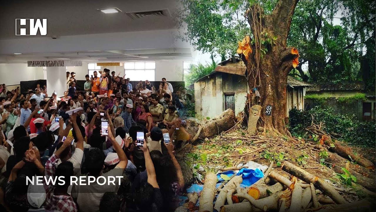 Biggest public hearing in Mumbai to save Aarey forest