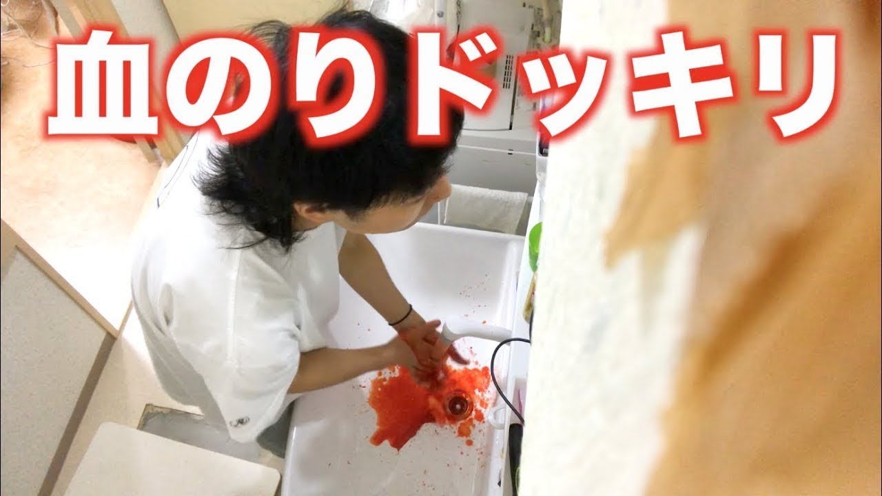 血のりドッキリ いきなり蛇口から血が出てきたらどんな反応 Youtube