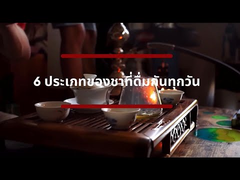 6 ประเภทของชาที่ดื่มกันทุกวัน | Cha LaLa