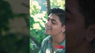 অনতর দখছ শযমর প