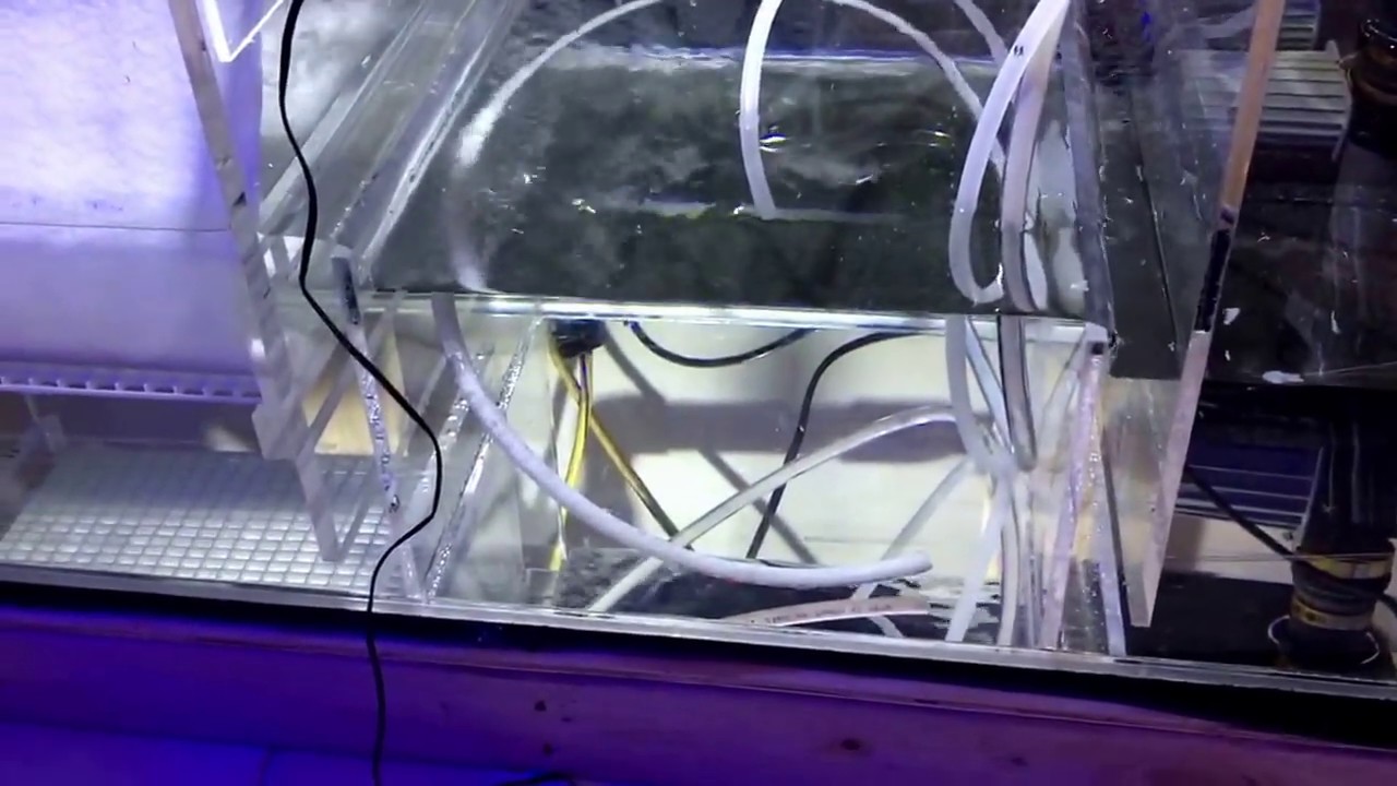 REEF TANK FILTER AUTOMATIC YouTube