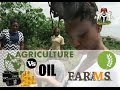 NIGERIA'S LOST TREASURE | AGRICULTURE VS OIL