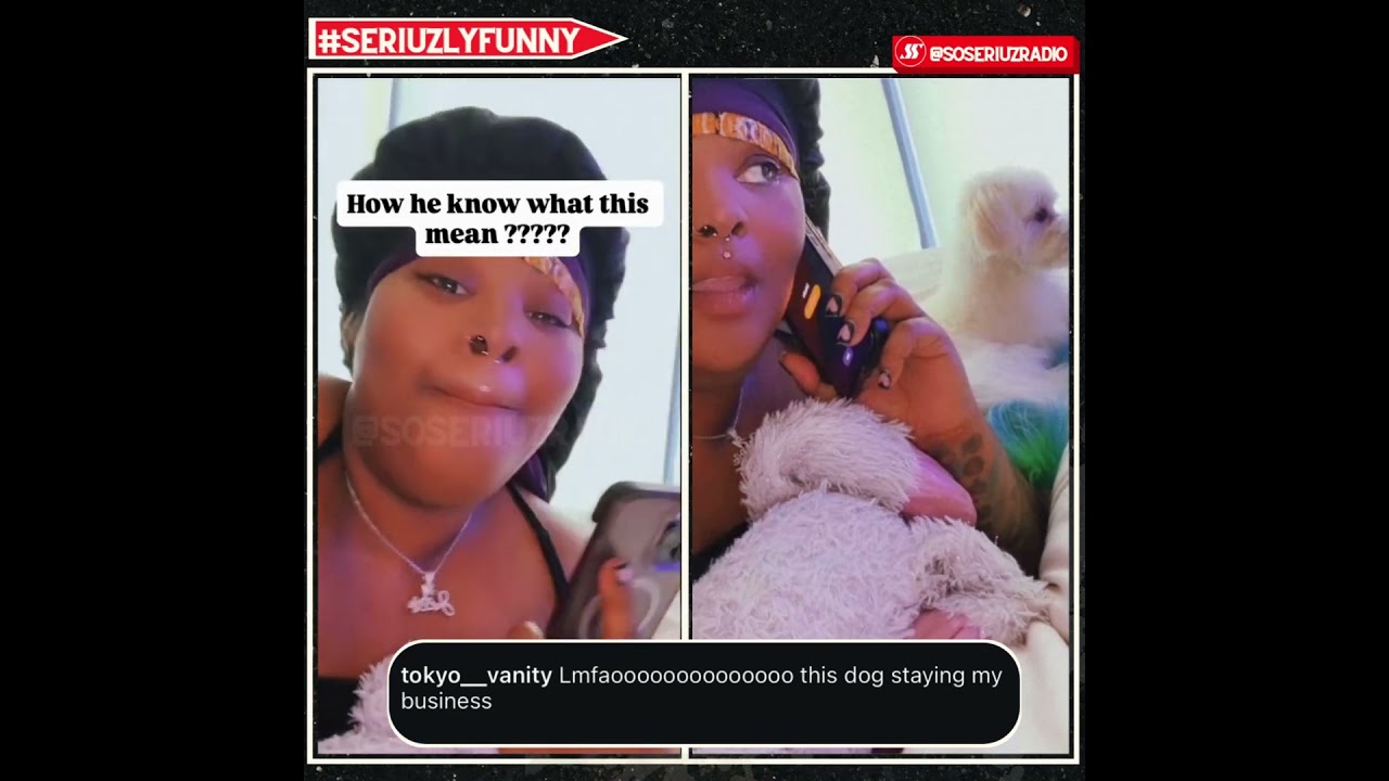 У СОБАКИ TOKYO VANITY НЕТ ТЕРПЕНИЯ К НЕОБЪЯВЛЕННЫМ ГОСТЯМ!!!!