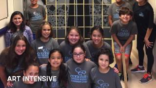 2017 Summer at CEA