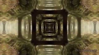 My WEBM Compilation #1