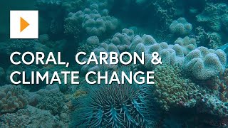 The Great Barrier Reef: Coral, Carbon & Climate Change