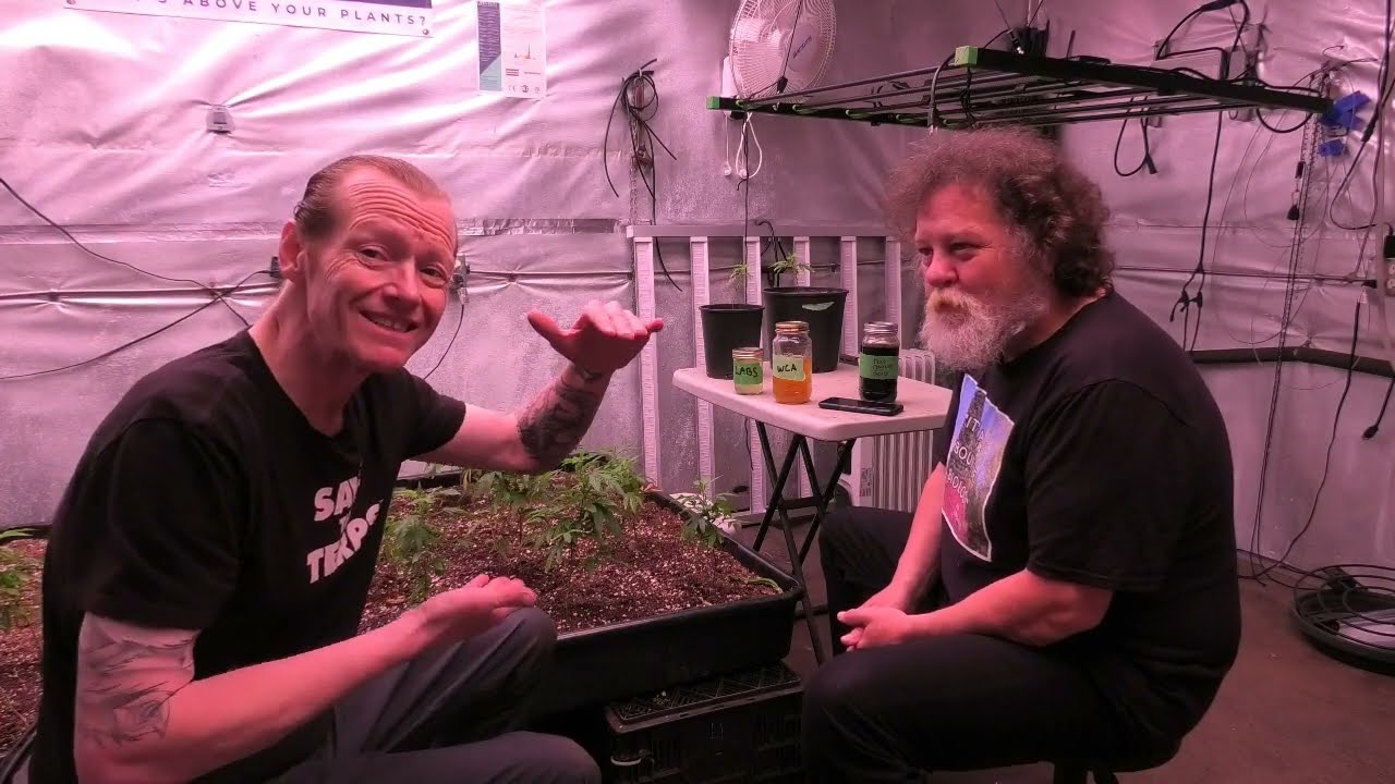 FEED THE SOIL, NOT THE PLANT : ITS ALL ABOUT THE BIOLOGY