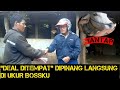 Langsung Deal..!!Sapi Qurban 2023 Rancaekek Bandung