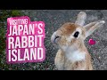 The Japanese Rabbit Island perfect for World War 2 history buffs