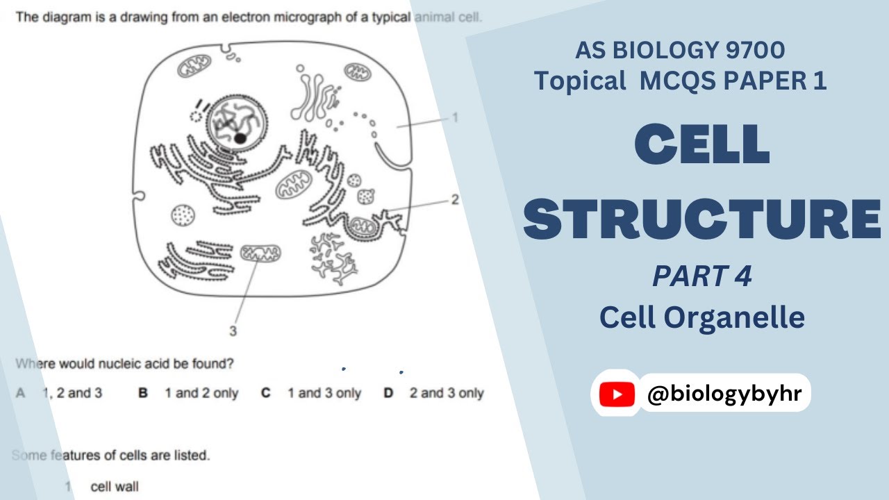 Cell Structure | Topical MCQs Paper 1 | Part 4 | AS BIOLOGY | 9700 ...
