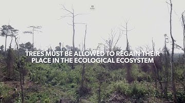 Cacao Barry - Thriving Nature - Deforestation free