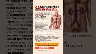 ⚡️ Гипертония и почки опасная связь #гипертония #здоровьепочек #профилактика #медицина
